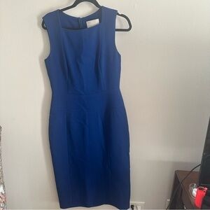 Jason Wu Size 10 Back Zipper Sheath Dress Sleeveless